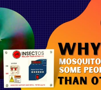 Why do mosquito bite some people more than others