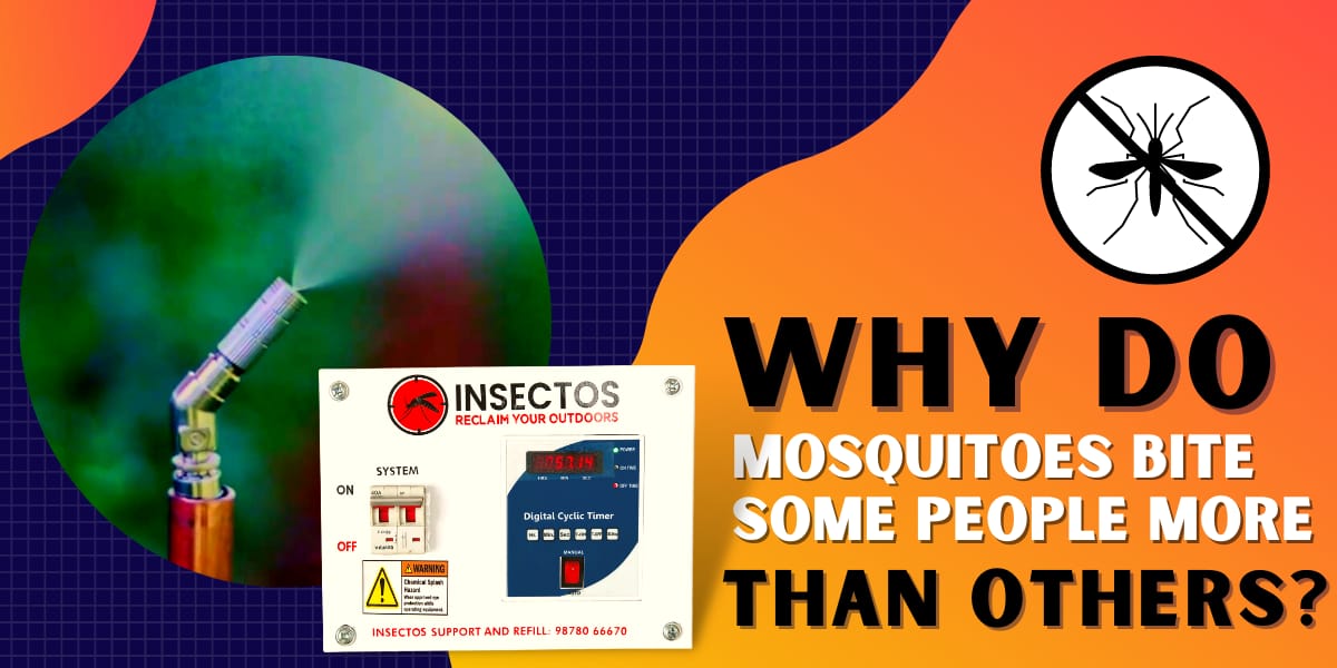 Why do mosquito bite some people more than others